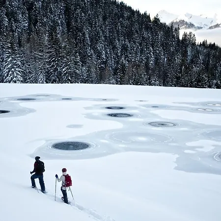 Haus Sieben Zwerge Daire