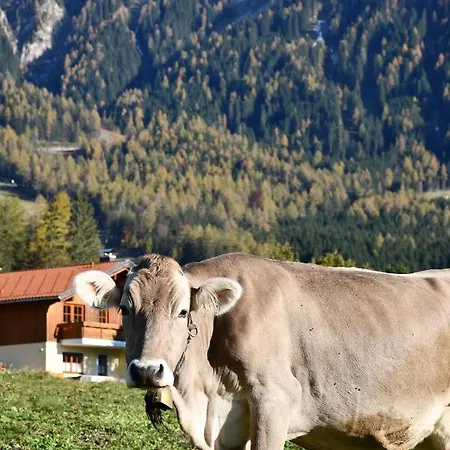Appartement Haus Sieben Zwerge Ehrwald